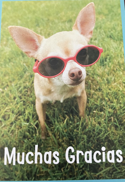 Thank you card from patient to Dr. Shea at St. Louis Prosthodontics in St. Louis, MO